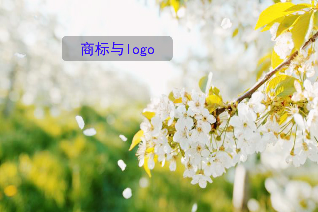 商標(biāo)與logo區(qū)別 商標(biāo)與logo區(qū)別