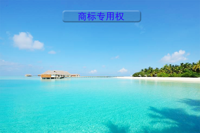 商標專用權包括哪些內容? 商標專用權包括哪些內容?