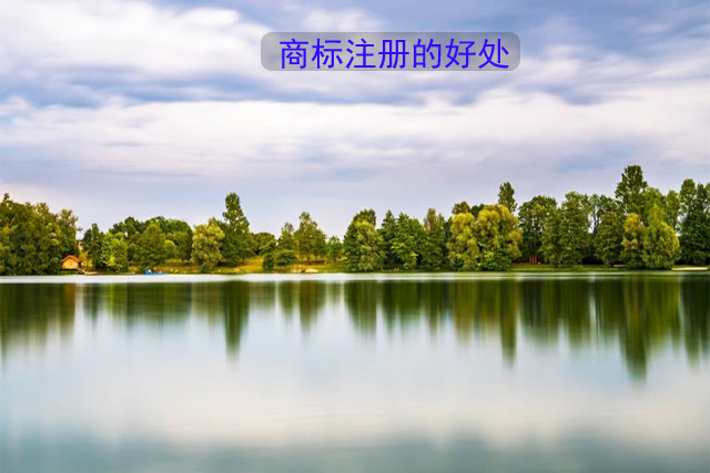 企業注冊商標 企業注冊商標