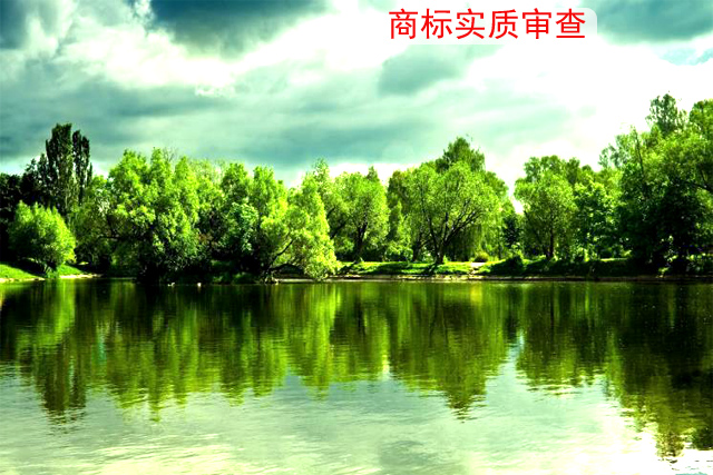 注冊的商標進入實質審查階段都審查什么內容?