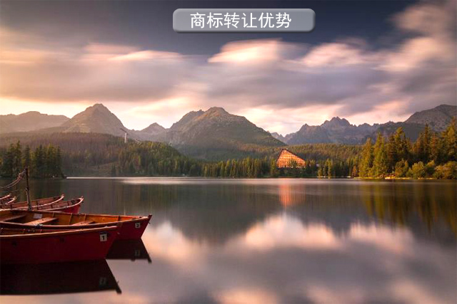 商標轉讓的優勢和需要的材料? 商標轉讓的優勢和需要的材料?