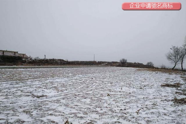 企業申請馳名商標須提交的申報材料 企業申請馳名商標須提交的申報材料