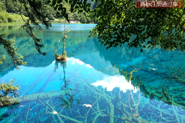 商標注冊提高通過率的具體操作 商標注冊提高通過率的具體操作