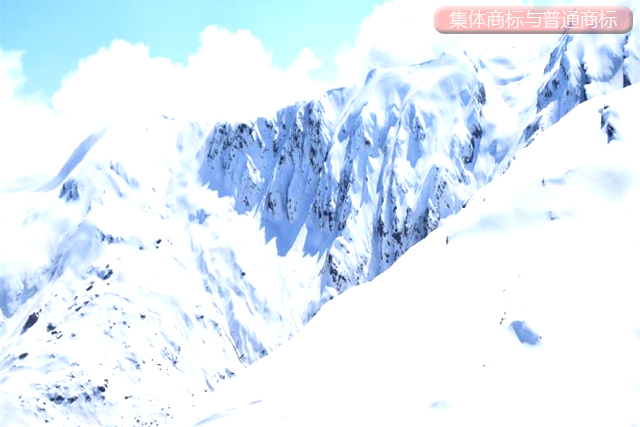 集體商標與普通商標有哪些區別? 集體商標與普通商標有哪些區別?