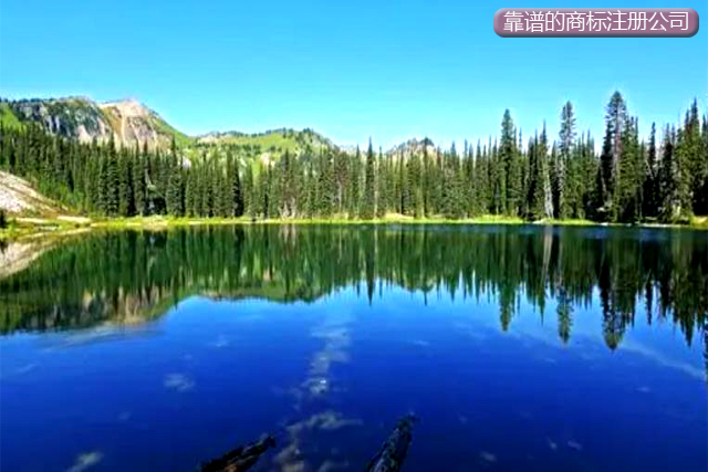 靠譜的商標注冊代理公司 靠譜的商標注冊代理公司