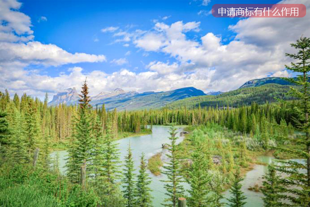 申請了商標有什么作用 申請了商標有什么作用