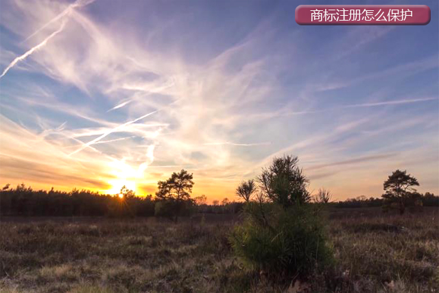 注冊商標(biāo)應(yīng)該怎么做保護? 注冊商標(biāo)應(yīng)該怎么做保護?