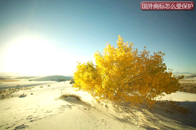 國(guó)外注冊(cè)商標(biāo)可以在中國(guó)受保護(hù)嗎? 國(guó)外注冊(cè)商標(biāo)可以在中國(guó)受保護(hù)嗎?