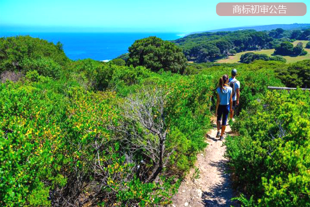 商標初審公告的主要內容 商標初審公告的主要內容