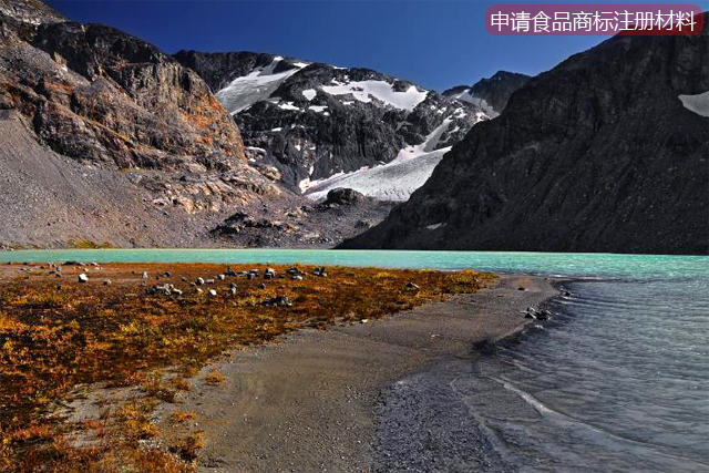 申請食品商標注冊提供哪些材料 申請食品商標注冊提供哪些材料