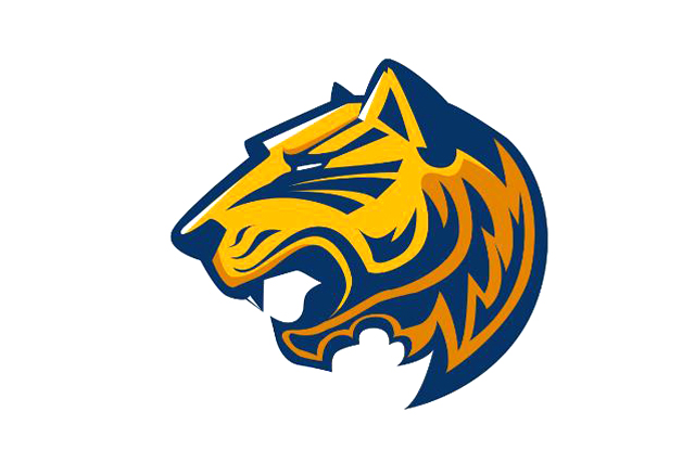 商標(biāo)查詢怎么收費(fèi)，商標(biāo)查詢價(jià)格貴嗎?