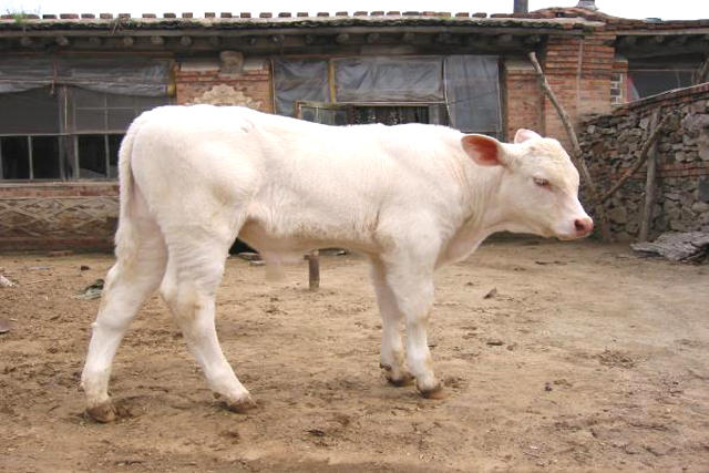 在哪里注冊(cè)商標(biāo)